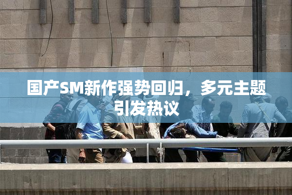 国产SM新作强势回归，多元主题引发热议