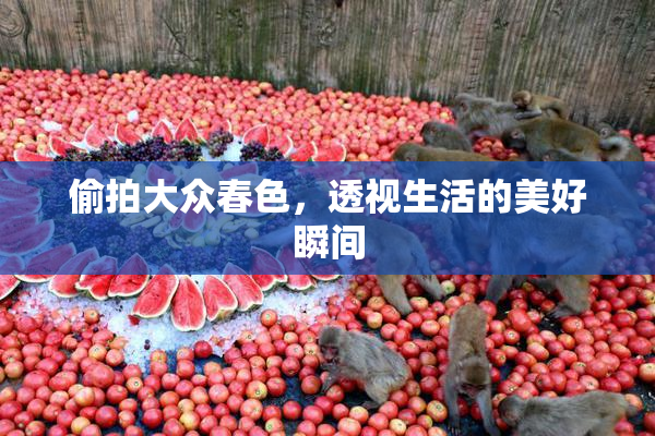 偷拍大众春色，透视生活的美好瞬间