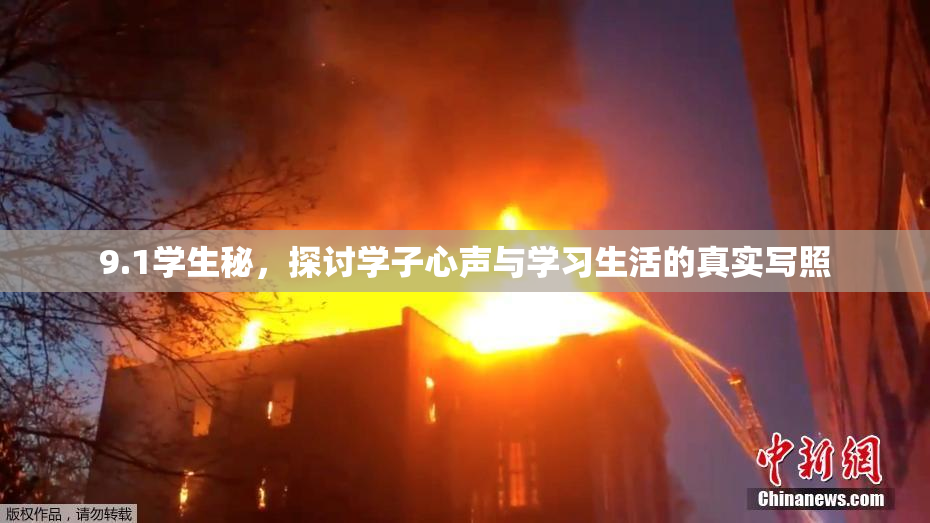 9.1学生秘，探讨学子心声与学习生活的真实写照
