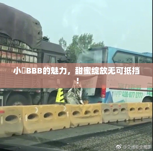 小槡BBB的魅力，甜蜜绽放无可抵挡！