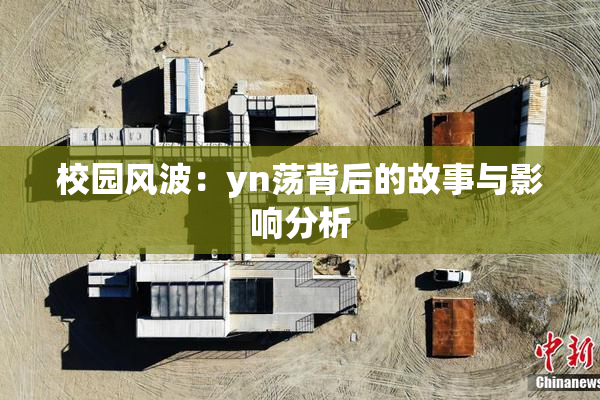校园风波：yn荡背后的故事与影响分析