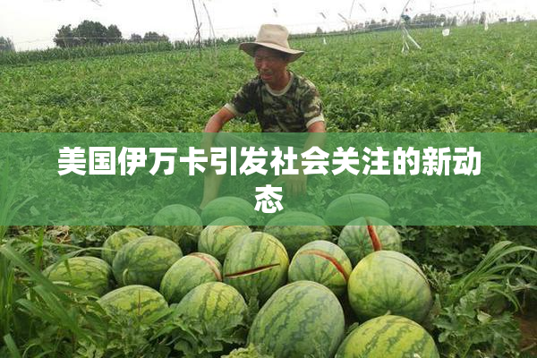 美国伊万卡引发社会关注的新动态
