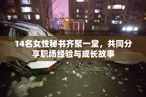 14名女性秘书齐聚一堂，共同分享职场经验与成长故事