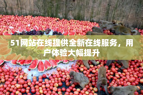51网站在线提供全新在线服务，用户体验大幅提升