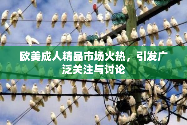 欧美成人精品市场火热，引发广泛关注与讨论