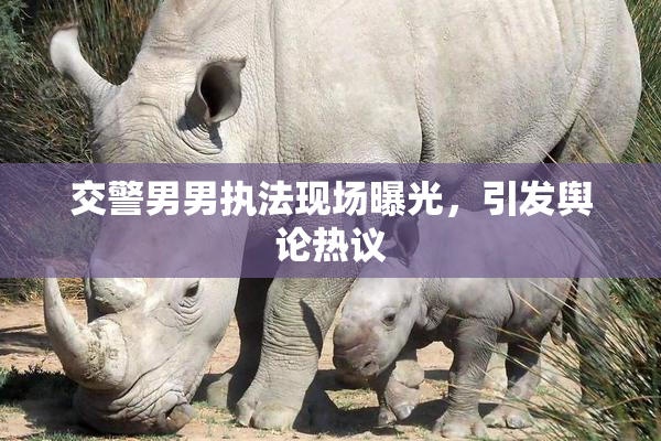 交警男男执法现场曝光，引发舆论热议
