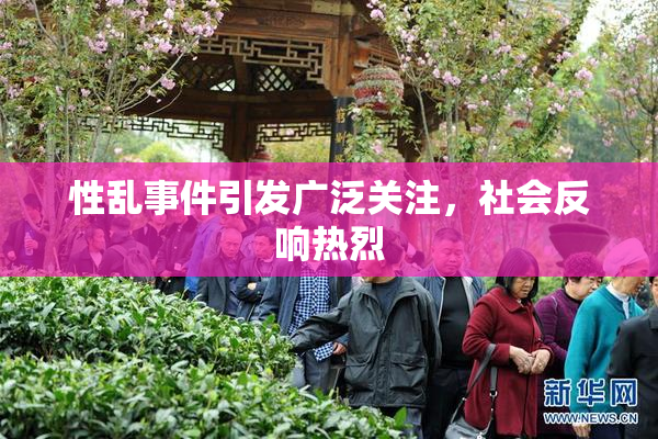 性乱事件引发广泛关注，社会反响热烈