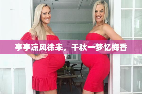 亭亭凉风徐来，千秋一梦忆梅香