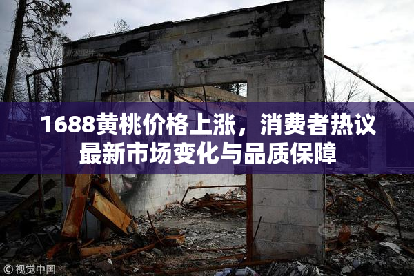 1688黄桃价格上涨，消费者热议最新市场变化与品质保障