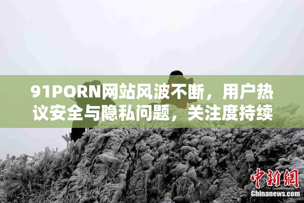 91PORN网站风波不断，用户热议安全与隐私问题，关注度持续上升。