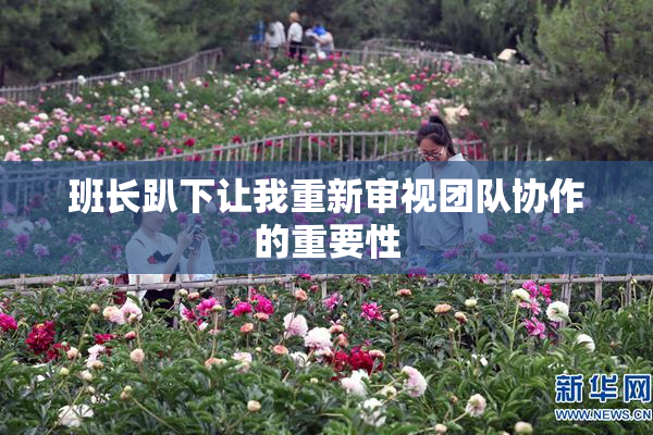 班长趴下让我重新审视团队协作的重要性