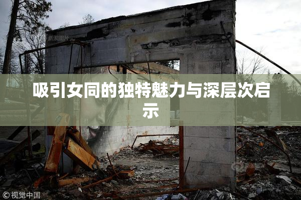 吸引女同的独特魅力与深层次启示