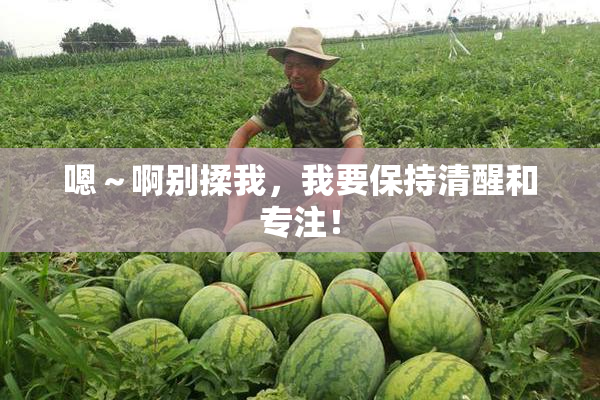 嗯～啊别揉我，我要保持清醒和专注！