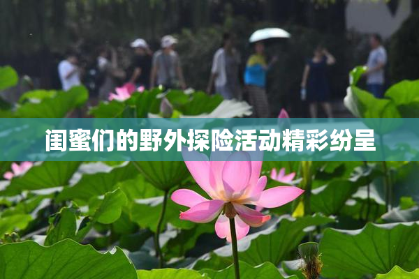 闺蜜们的野外探险活动精彩纷呈