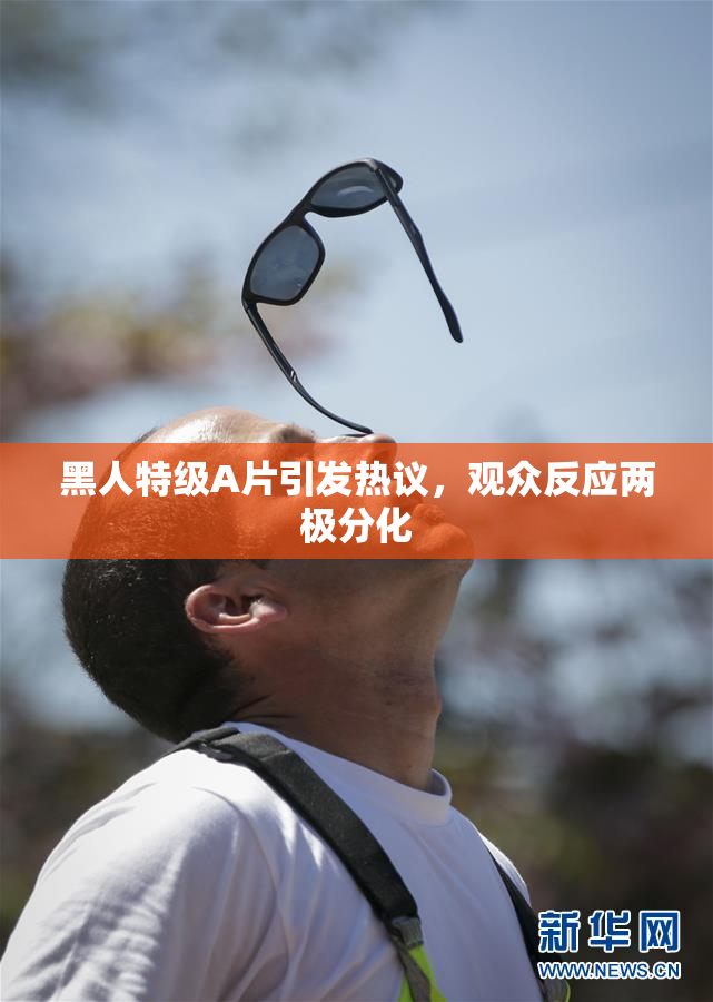 黑人特级A片引发热议，观众反应两极分化
