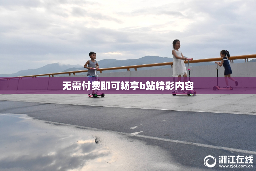 无需付费即可畅享b站精彩内容