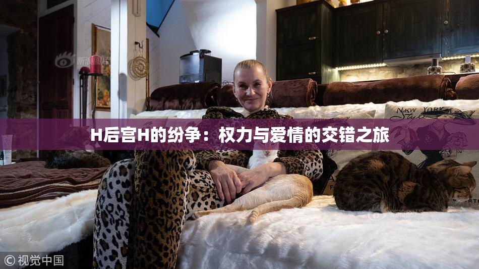 H后宫H的纷争：权力与爱情的交错之旅