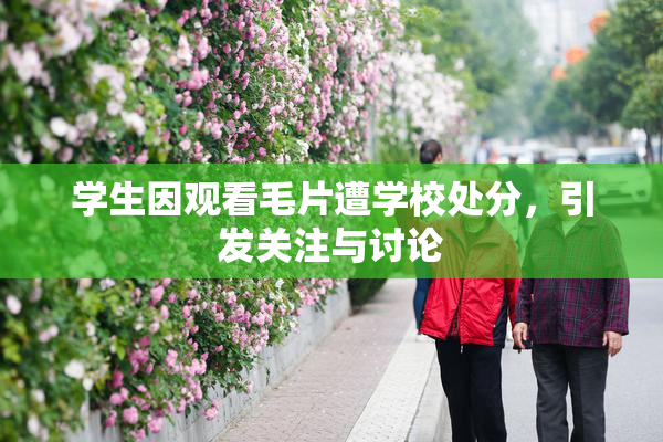 学生因观看毛片遭学校处分，引发关注与讨论