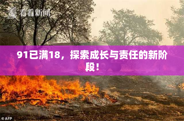 91已满18，探索成长与责任的新阶段！