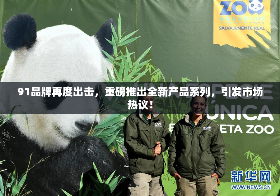 91品牌再度出击，重磅推出全新产品系列，引发市场热议！