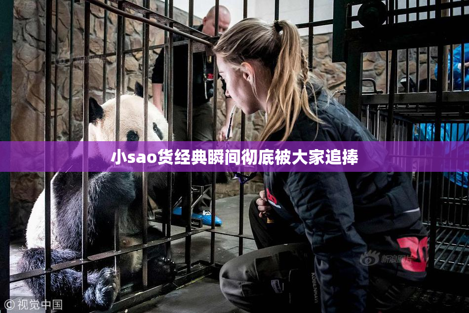 小sao货经典瞬间彻底被大家追捧