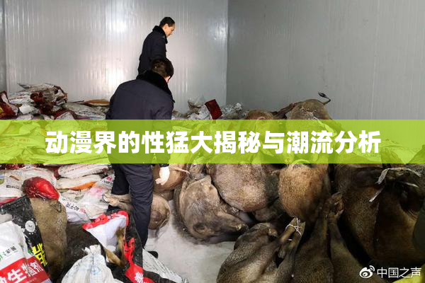动漫界的性猛大揭秘与潮流分析