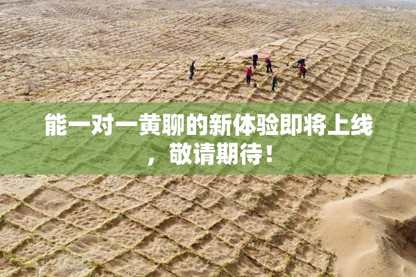 能一对一黄聊的新体验即将上线，敬请期待！