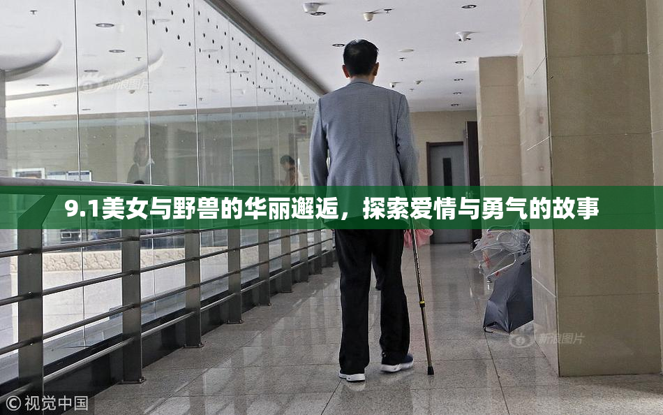 9.1美女与野兽的华丽邂逅，探索爱情与勇气的故事