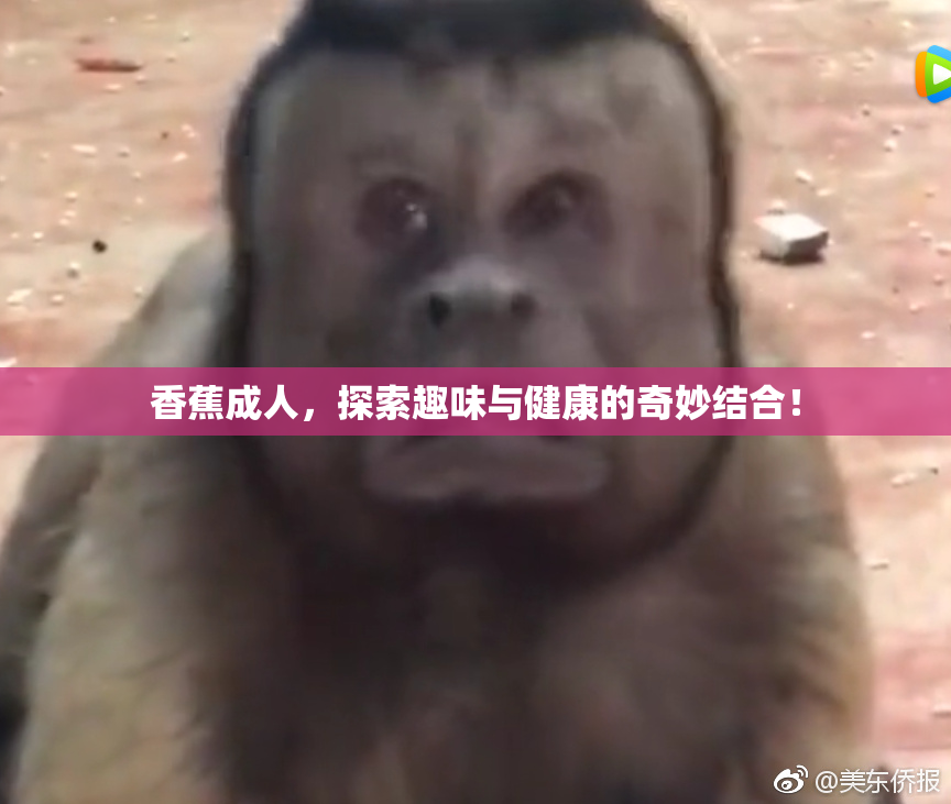 香蕉成人，探索趣味与健康的奇妙结合！