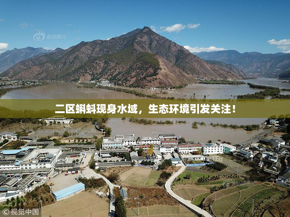 二区蝌蚪现身水域，生态环境引发关注！
