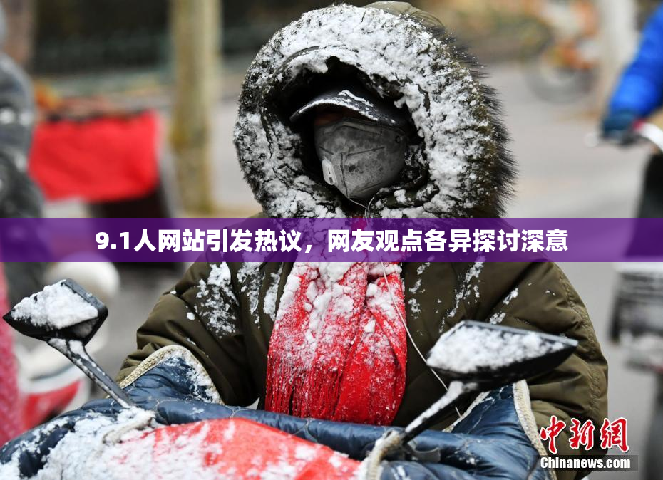 9.1人网站引发热议，网友观点各异探讨深意