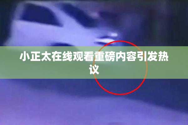 小正太在线观看重磅内容引发热议