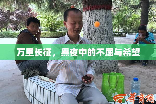 万里长征，黑夜中的不屈与希望