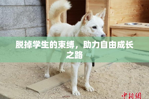 脱掉学生的束缚，助力自由成长之路
