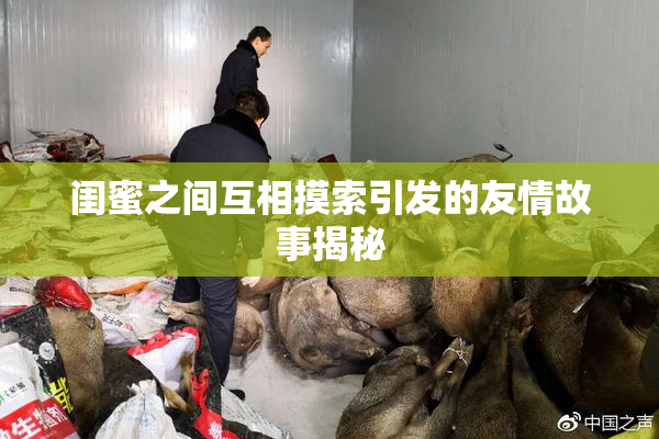 闺蜜之间互相摸索引发的友情故事揭秘