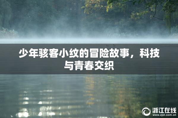 少年骇客小纹的冒险故事，科技与青春交织