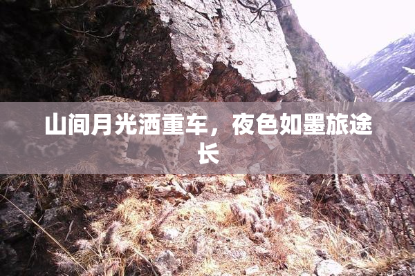 山间月光洒重车，夜色如墨旅途长