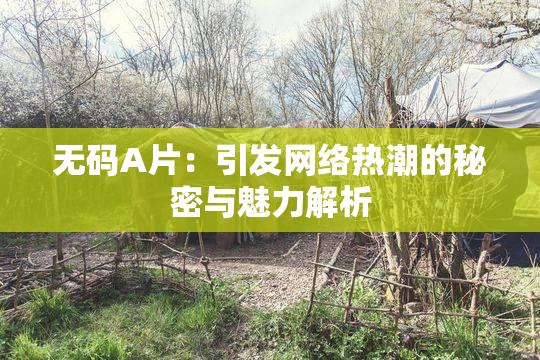 无码A片：引发网络热潮的秘密与魅力解析