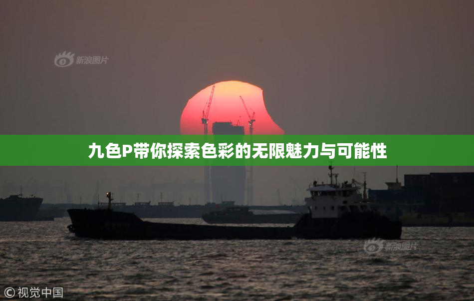 九色P带你探索色彩的无限魅力与可能性