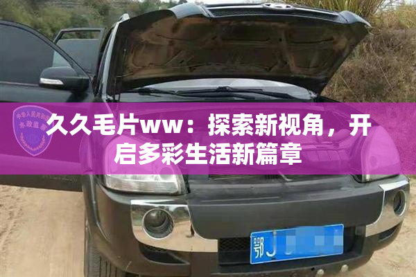 久久毛片ww：探索新视角，开启多彩生活新篇章