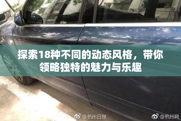 探索18种不同的动态风格，带你领略独特的魅力与乐趣