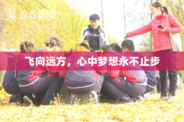 飞向远方，心中梦想永不止步
