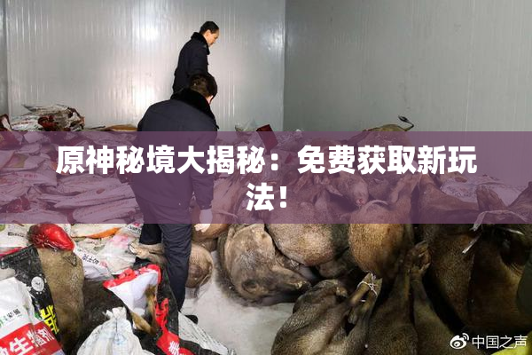 原神秘境大揭秘：免费获取新玩法！