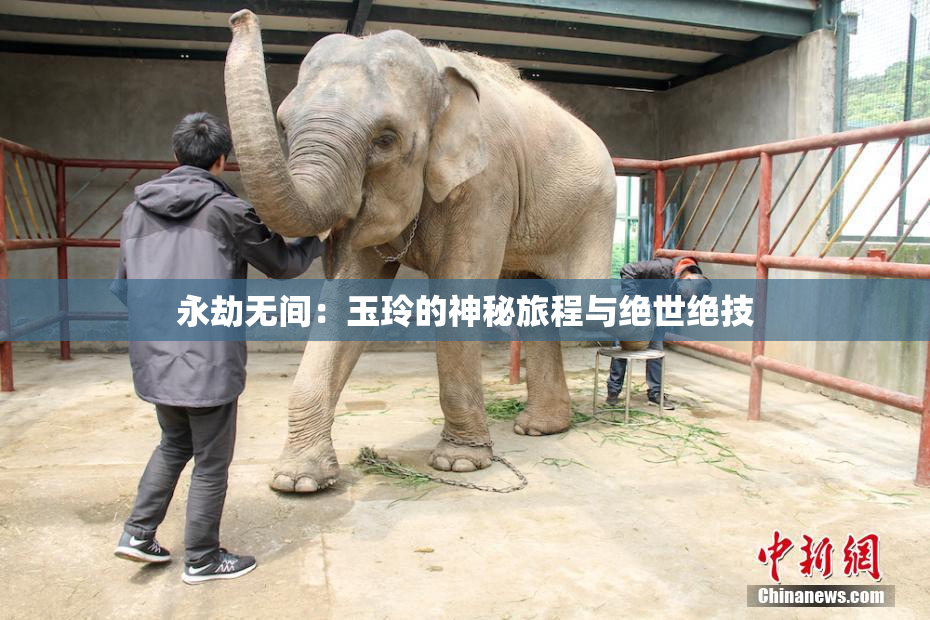 永劫无间：玉玲的神秘旅程与绝世绝技