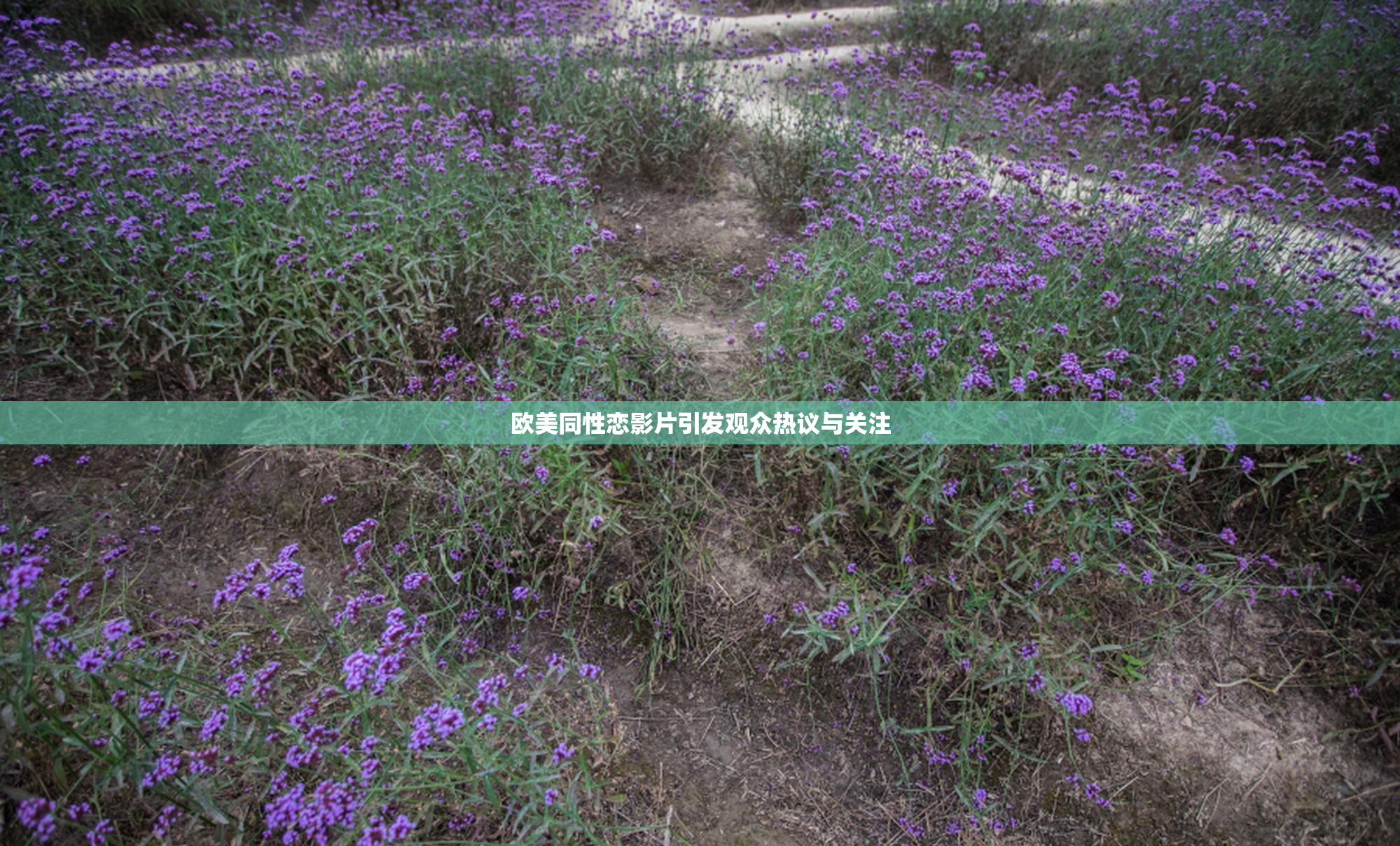 欧美同性恋影片引发观众热议与关注