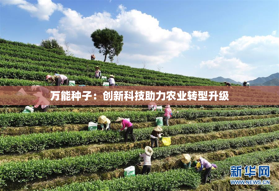 万能种子：创新科技助力农业转型升级