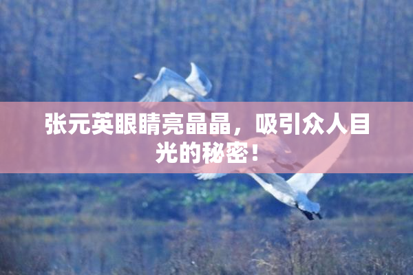 张元英眼睛亮晶晶，吸引众人目光的秘密！