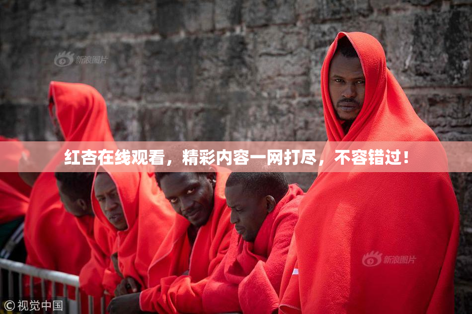 红杏在线观看，精彩内容一网打尽，不容错过！