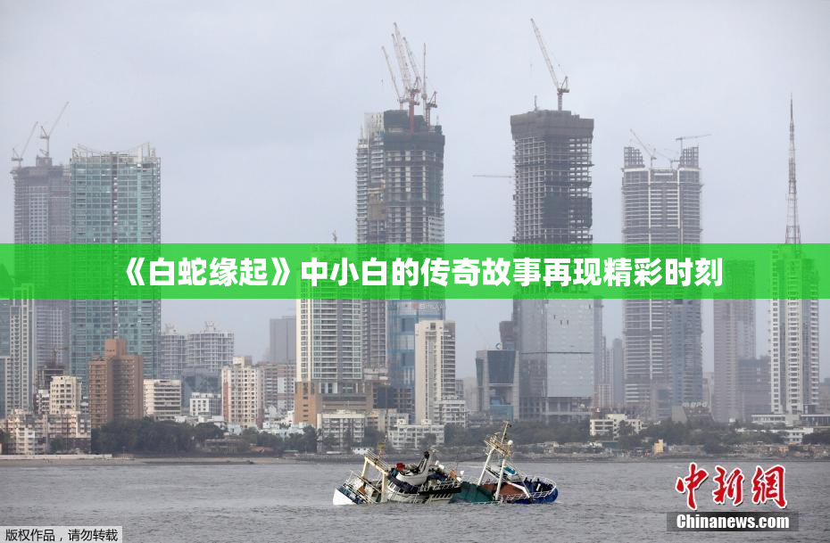 《白蛇缘起》中小白的传奇故事再现精彩时刻