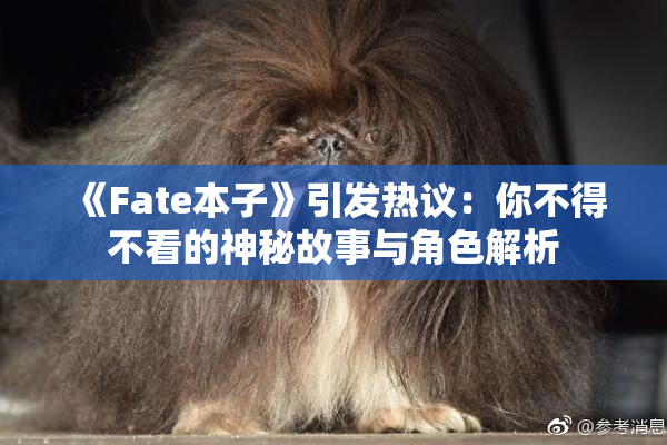 《Fate本子》引发热议：你不得不看的神秘故事与角色解析